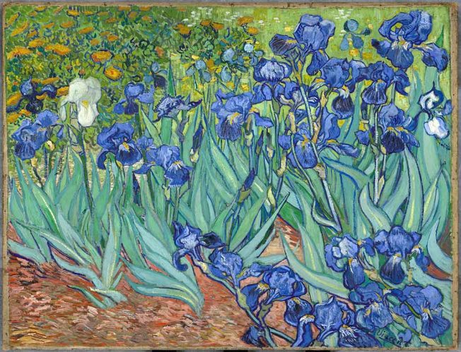 Van Gogh - Riproduzioni di Quadri Famosi E Dipinti - Realismo,  Post-Impressionismo, Arte Moderna, Impressionismo, Japonismo, Cloisonnismo,  Puntinismo, Neoimpressionismo - Dipinti Personalizzati di grandi dimensioni  - Autoritratto 1243